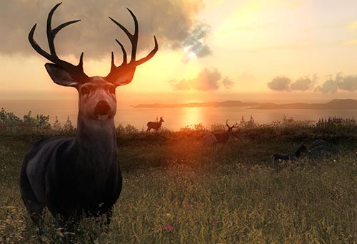 Hunting Game for PC | theHunter Classic